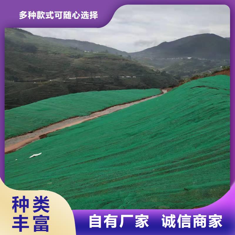 [亿路通]昌江县三维植被网-植被网-护坡网-厂家直销