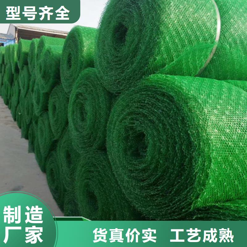 用心经营{亿路通}植生毯|三维植被网厂家|椰丝毯|三维抗侵蚀防护毯
