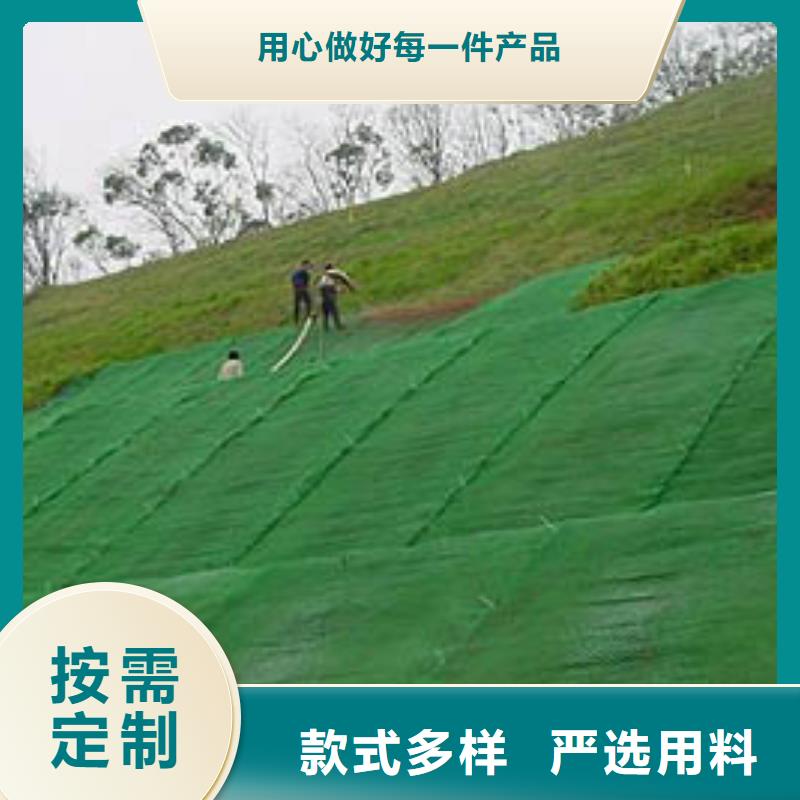 [亿路通]昌江县三维植被网-植被网-护坡网-厂家直销
