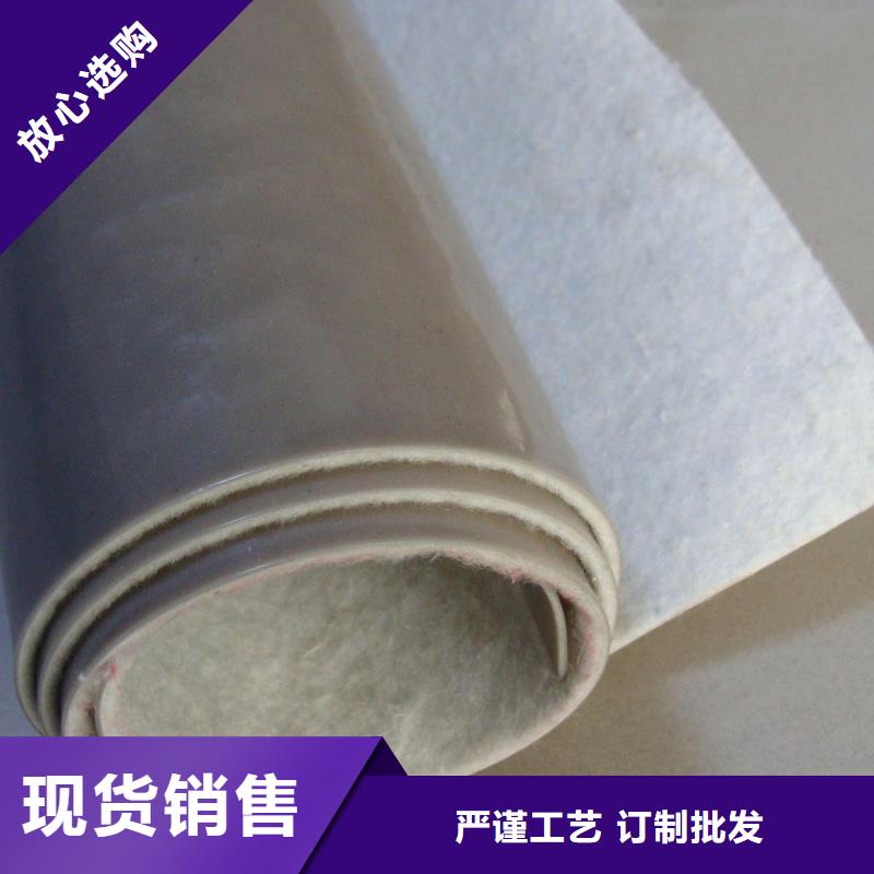 EVA防水板單向塑料土工格柵專業(yè)生產N年
