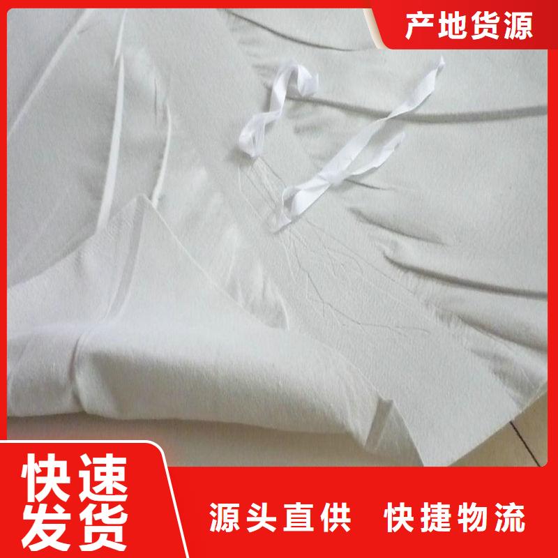 EVA防水板單向塑料土工格柵專業(yè)生產(chǎn)N年