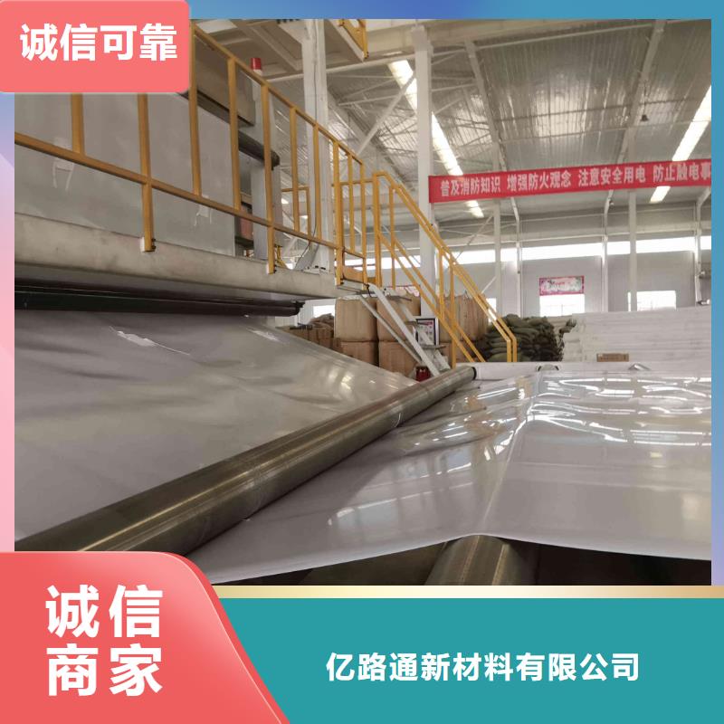上海采购防水板,EVA防水板,防渗膜,土工膜厂家,土工布价格