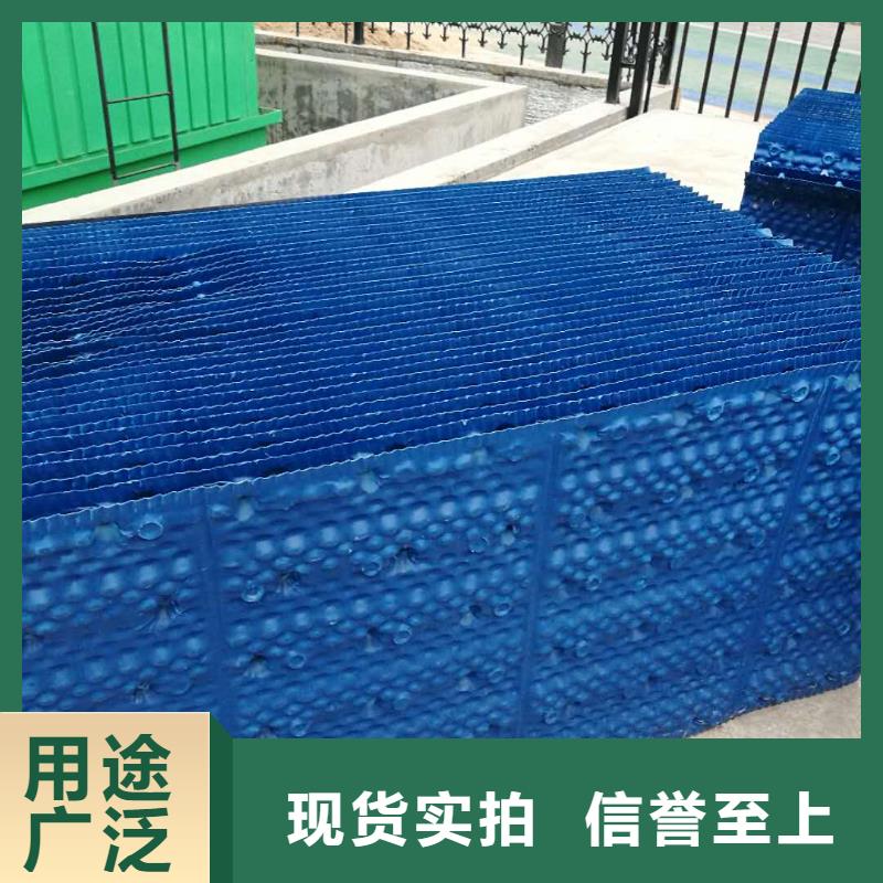 斜管填料活性炭顏色尺寸款式定制