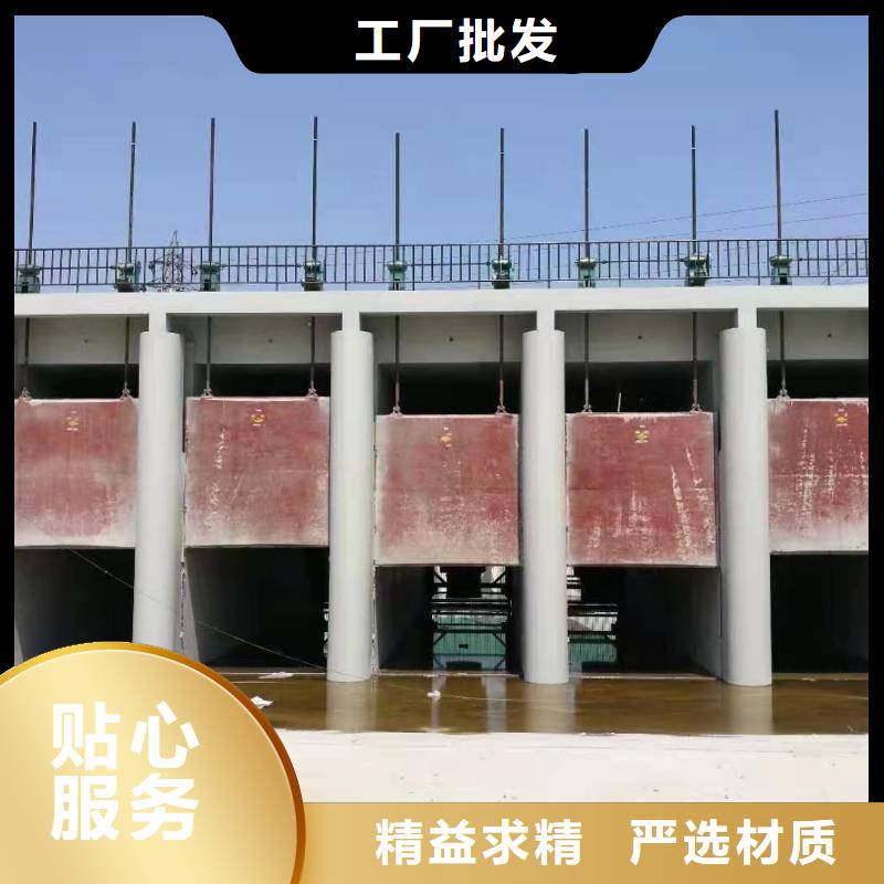 鑄鐵閘門污水除污機本地配送