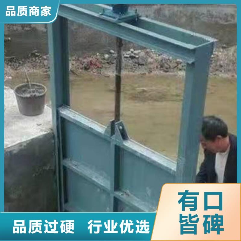 翻板閘門廠家