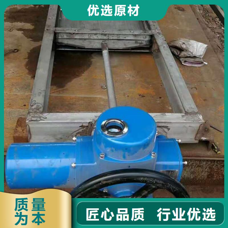 鋼閘門鑄鐵拍門可定制有保障
