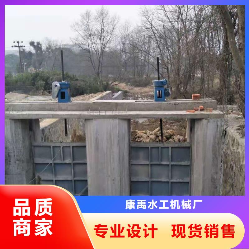 鋼閘門-螺桿啟閉機質量牢靠