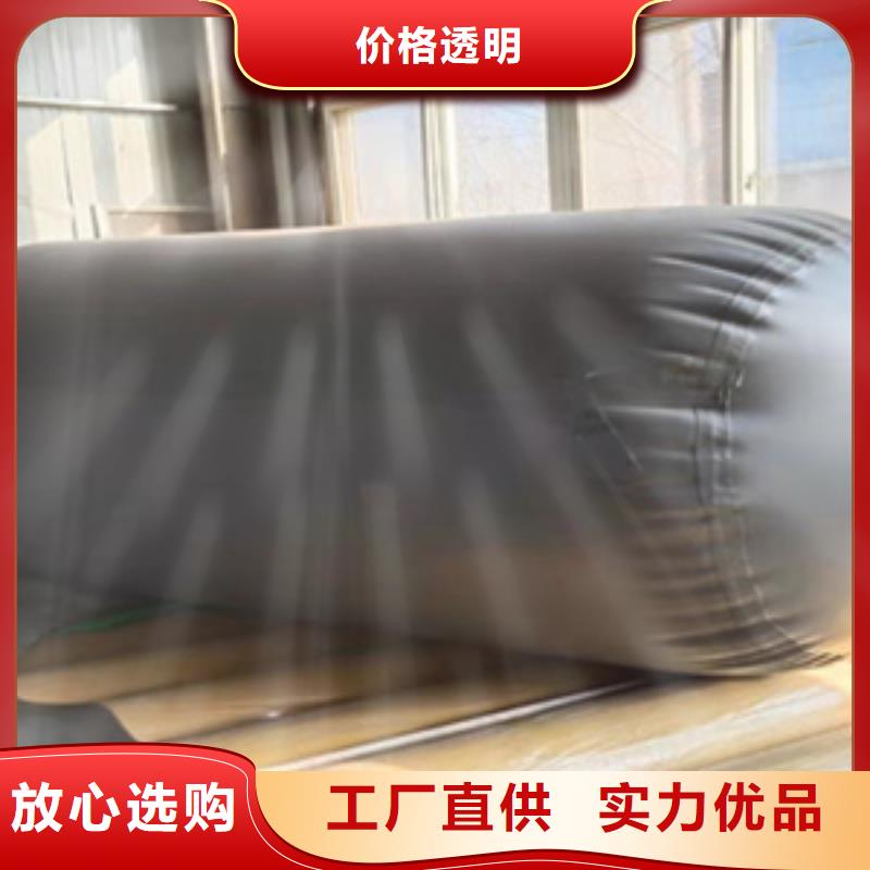 管道堵水氣囊雨污分流用