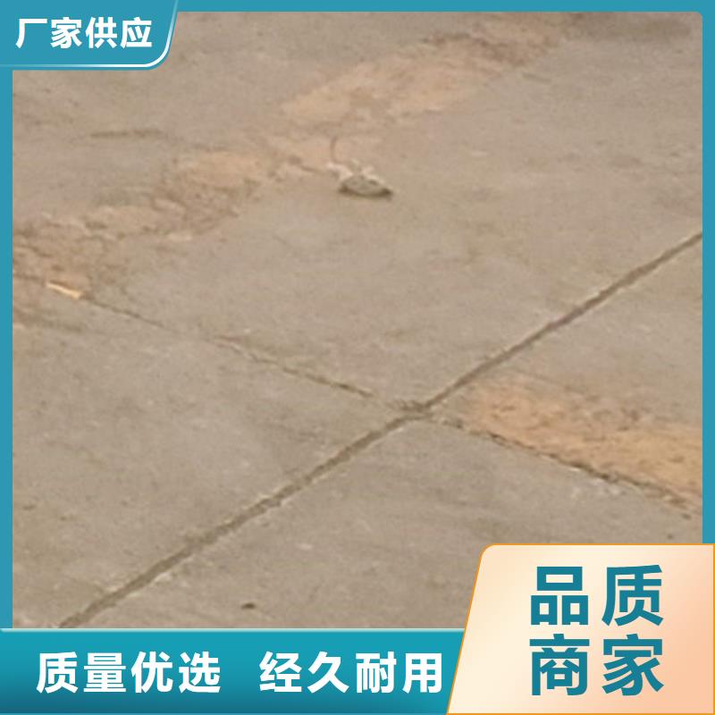 【護(hù)欄-鋼絲繩護(hù)欄廠服務(wù)周到】