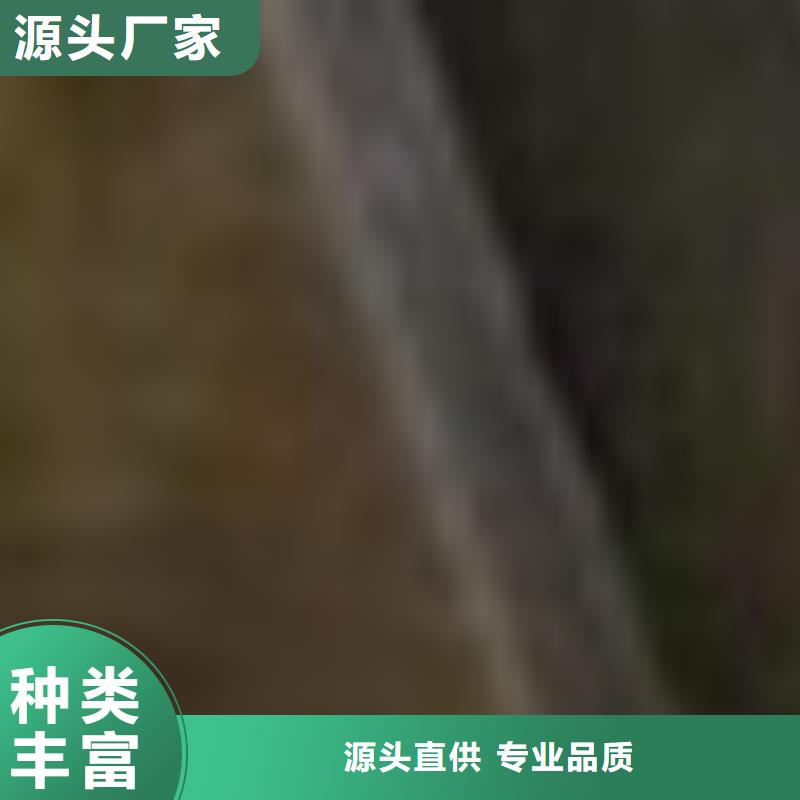 【護欄橋梁護欄廠買的放心】