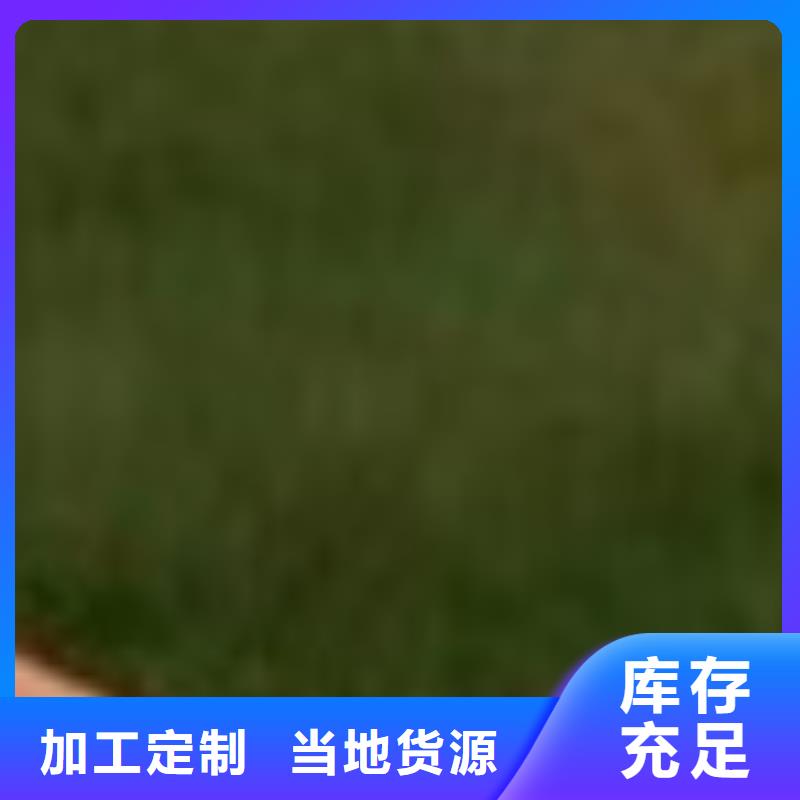 護欄_【市政護欄】優質工藝