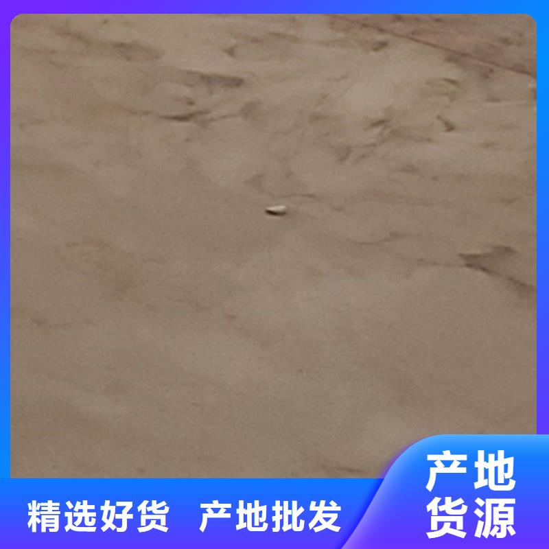 護欄-【交通護欄】服務至上