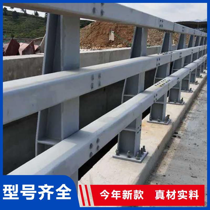 专业生产团队(鑫腾)防撞钢护栏2024价格