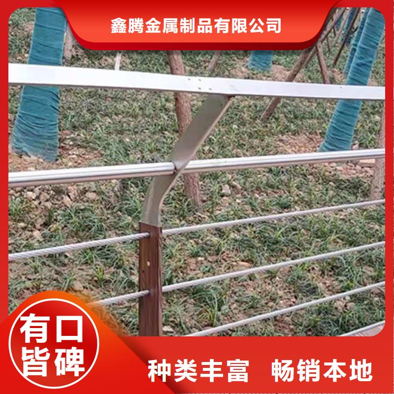 钢丝绳护栏生产质优价廉-[鑫腾]