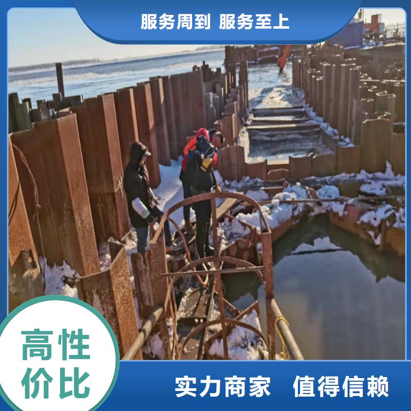 水下作業水下錄像明碼標價