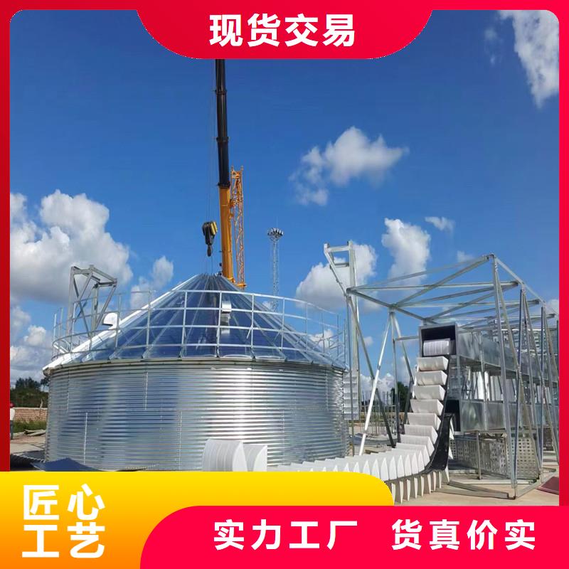 裝配式錐底鍍鋅鋼板倉-放心可靠