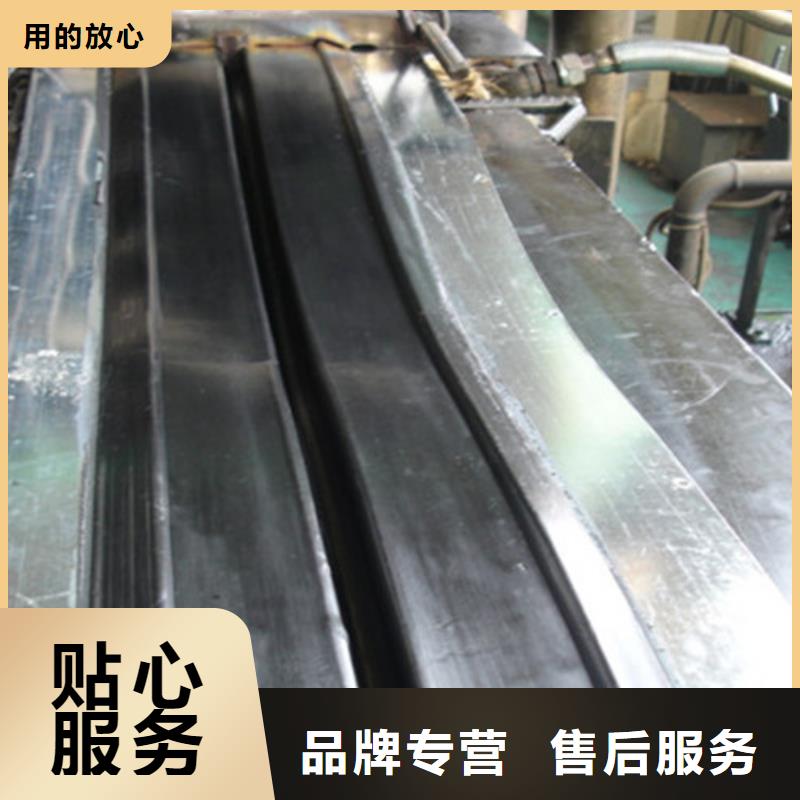 橡膠止水帶,模數式橋梁伸縮縫可定制