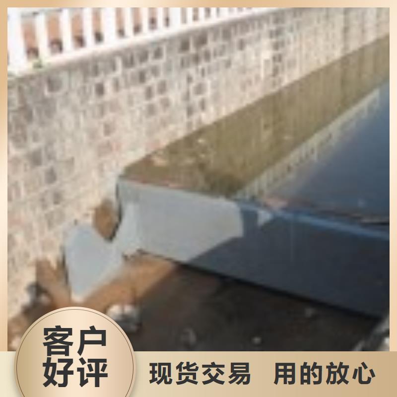 【翻板閘門-閘門專業的生產廠家】