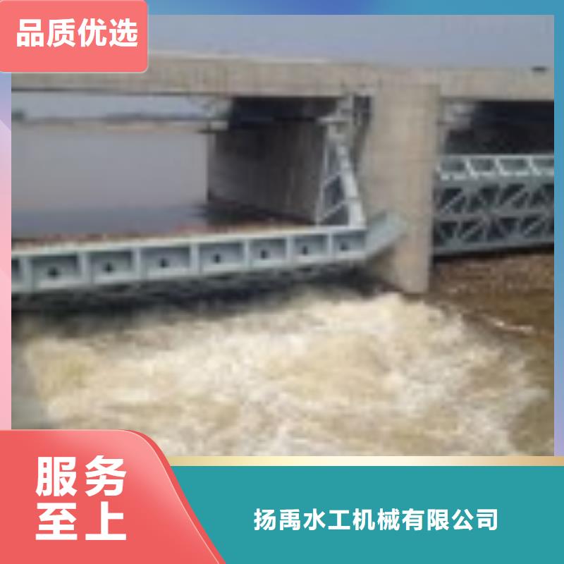 【翻板閘門-閘門專業(yè)的生產(chǎn)廠家】