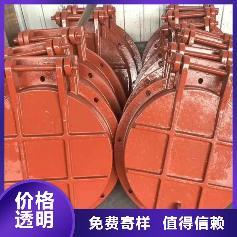 【拍門閘門一站式供應廠家】