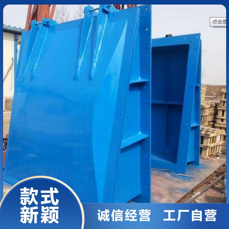【拍門閘門一站式供應廠家】