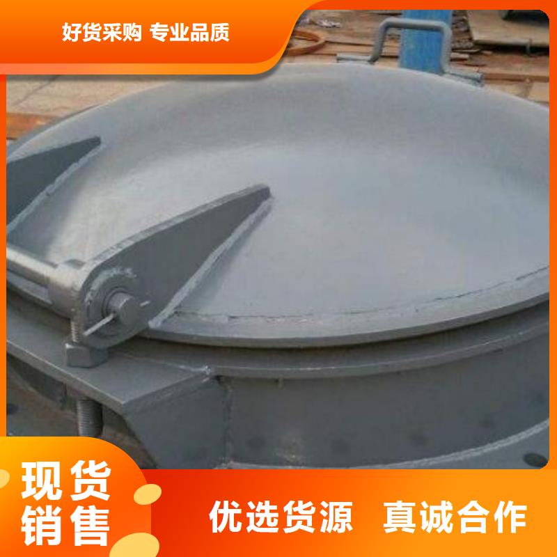 【拍門閘門一站式供應廠家】