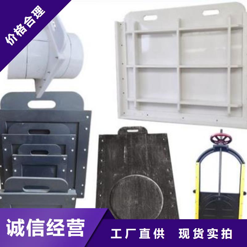 塑料閘門鑄鐵閘門品牌大廠家
