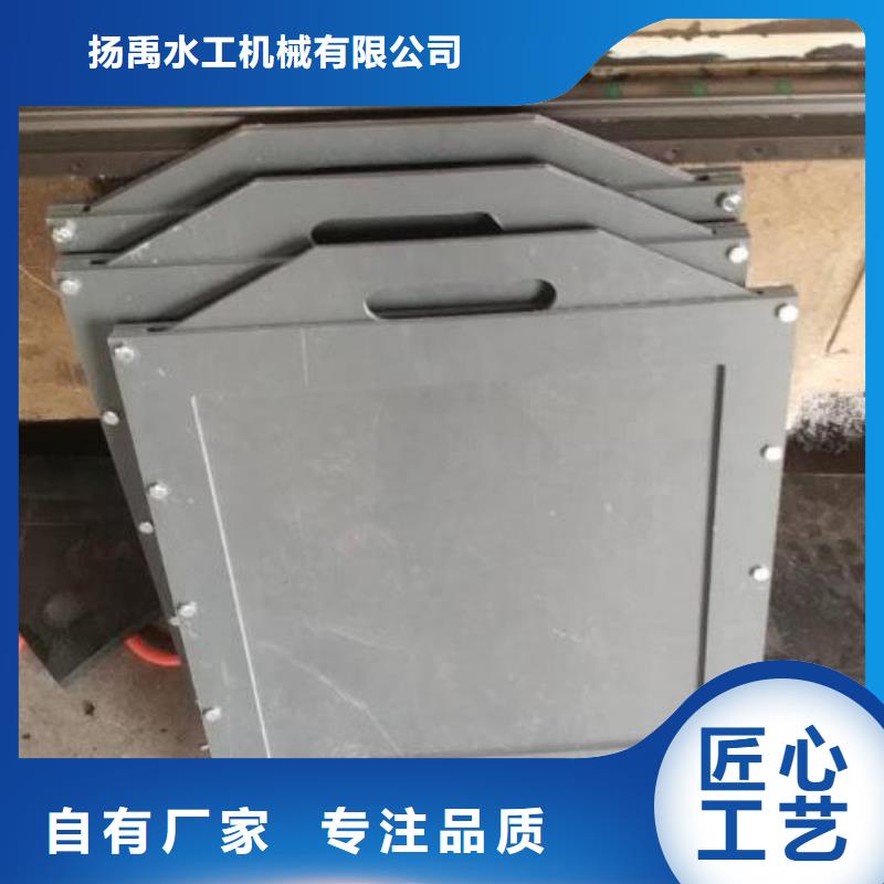 塑料閘門(mén)景觀鋼閘門(mén)源頭廠家供應(yīng)