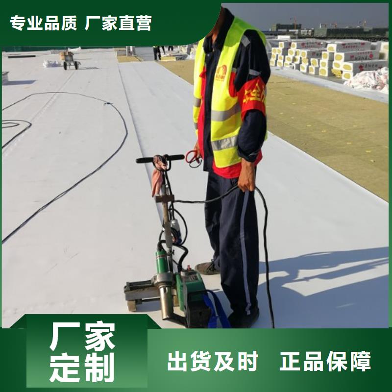 TPOTPO防水卷材貨源直供