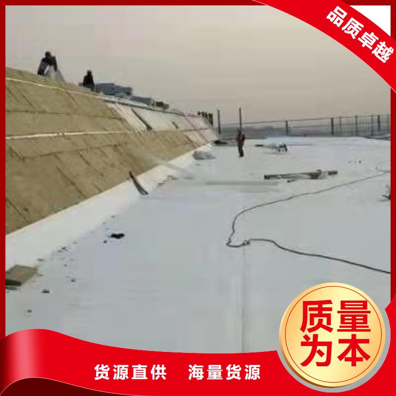 PVC【PVC防水卷材】實體廠家支持定制