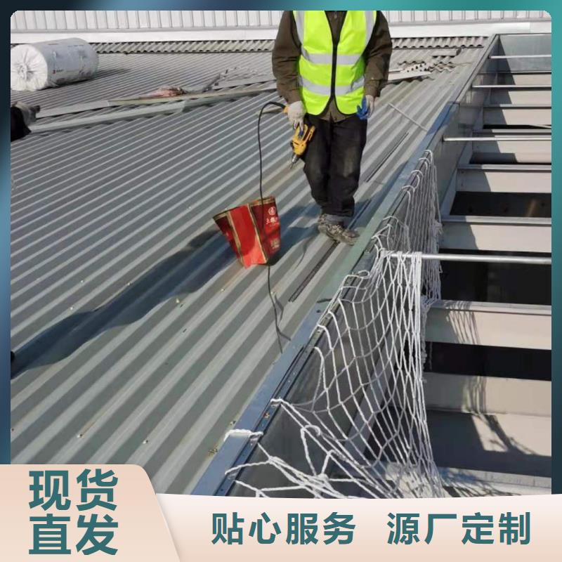 PVC【PVC防水卷材】實體廠家支持定制