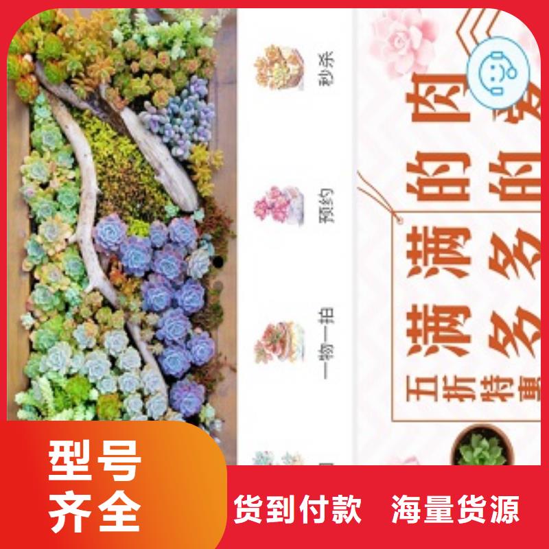 小程序制作小程序定制每一處都是匠心制作