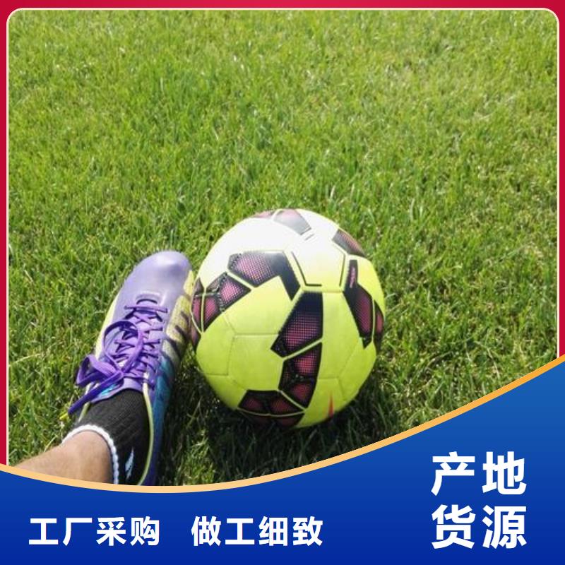 塑膠跑道優(yōu)選原材