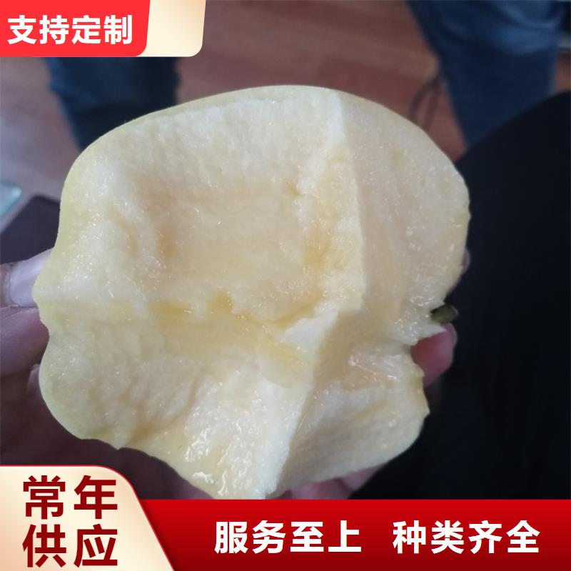 蘋果獼猴桃苗優選廠商