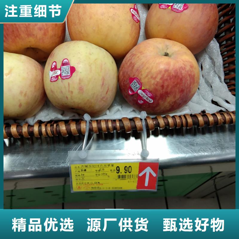 蘋(píng)果杏樹(shù)苗不斷創(chuàng)新