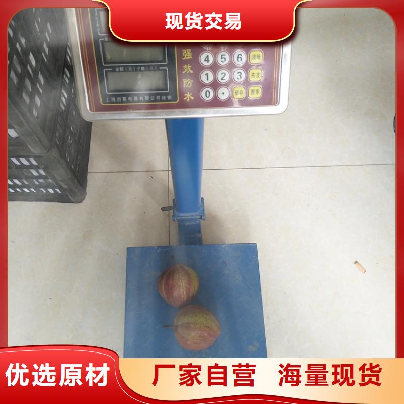 【梨樹草莓苗精選好貨】