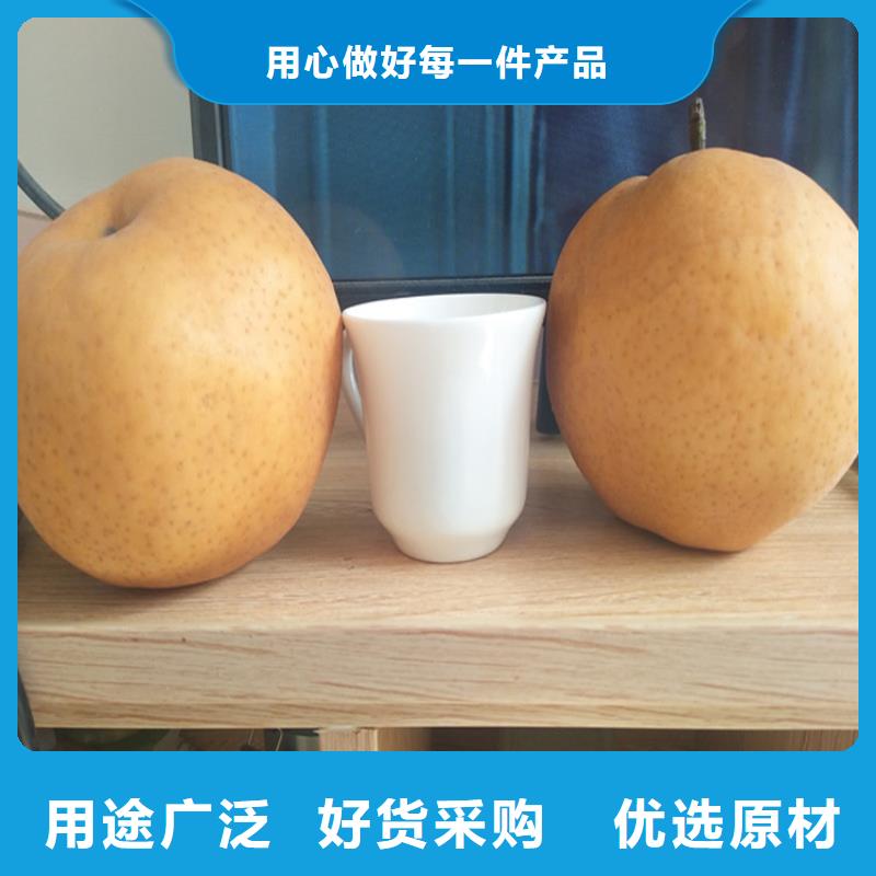 梨樹(shù)梨樹(shù)苗品牌大廠家