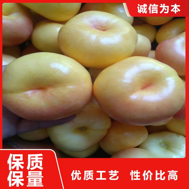 桃藍莓苗您想要的我們都有