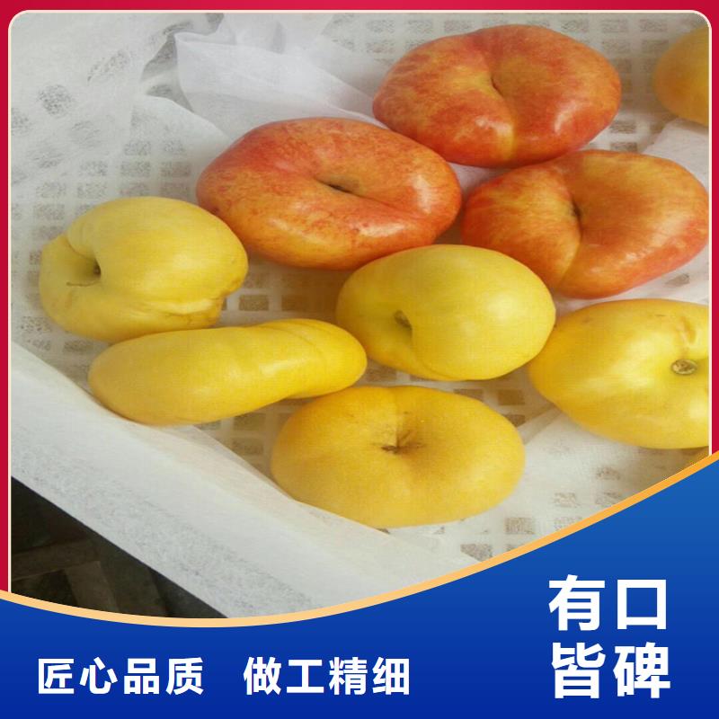 桃蘋果苗有實力有經驗
