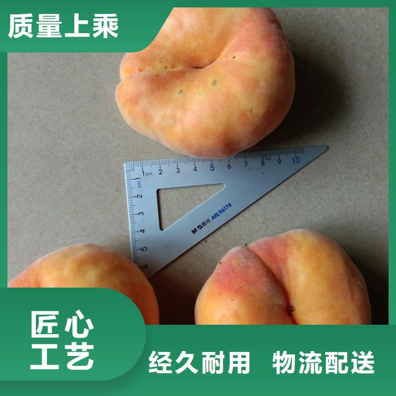 桃-西瓜苗通過檢測