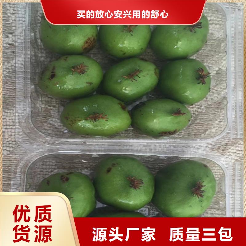獼猴桃北美冬青實力公司