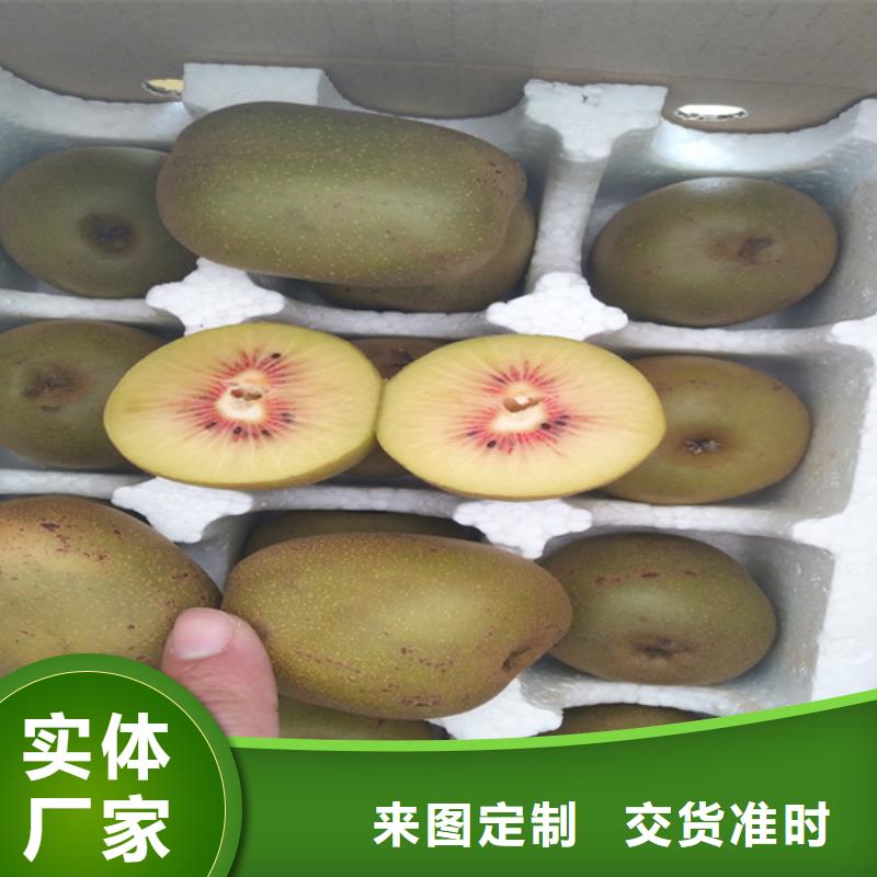 獼猴桃北美冬青實力公司