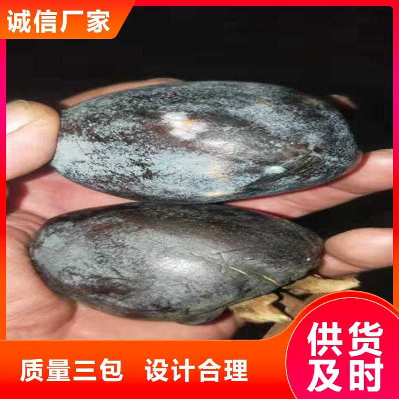 【柿子】,藍莓苗專注生產(chǎn)制造多年