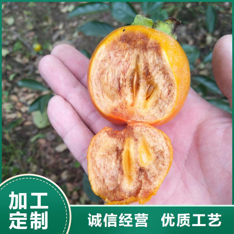 柿子【櫻桃苗】質量無憂