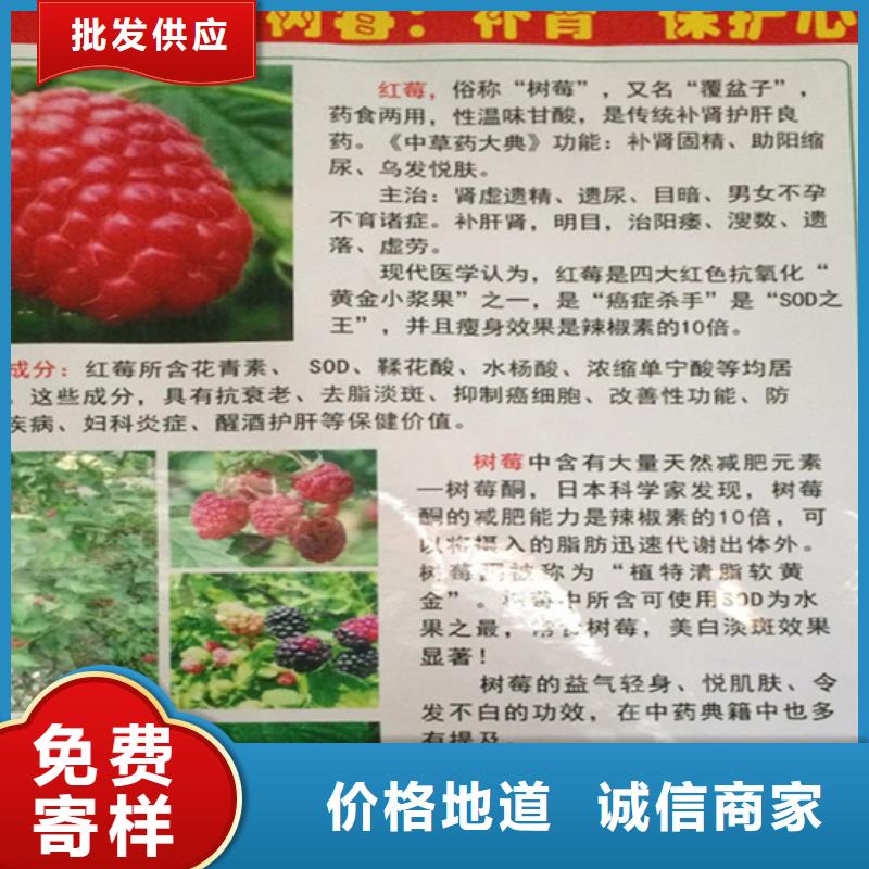 双季红树莓苗基地直销本土<轩园>