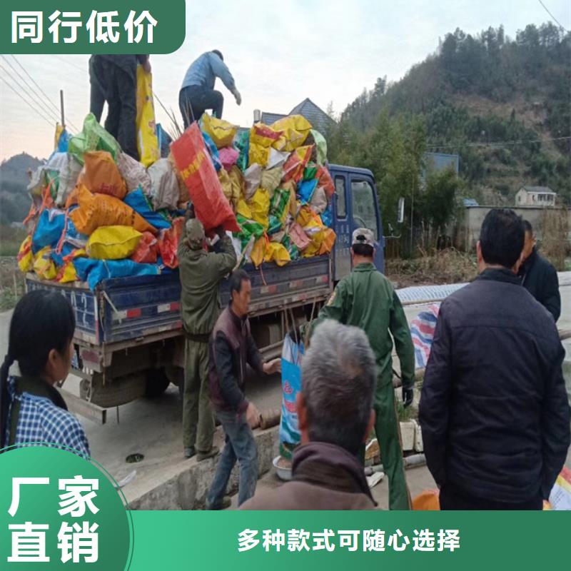 碧根果-板栗苗專注細節更放心