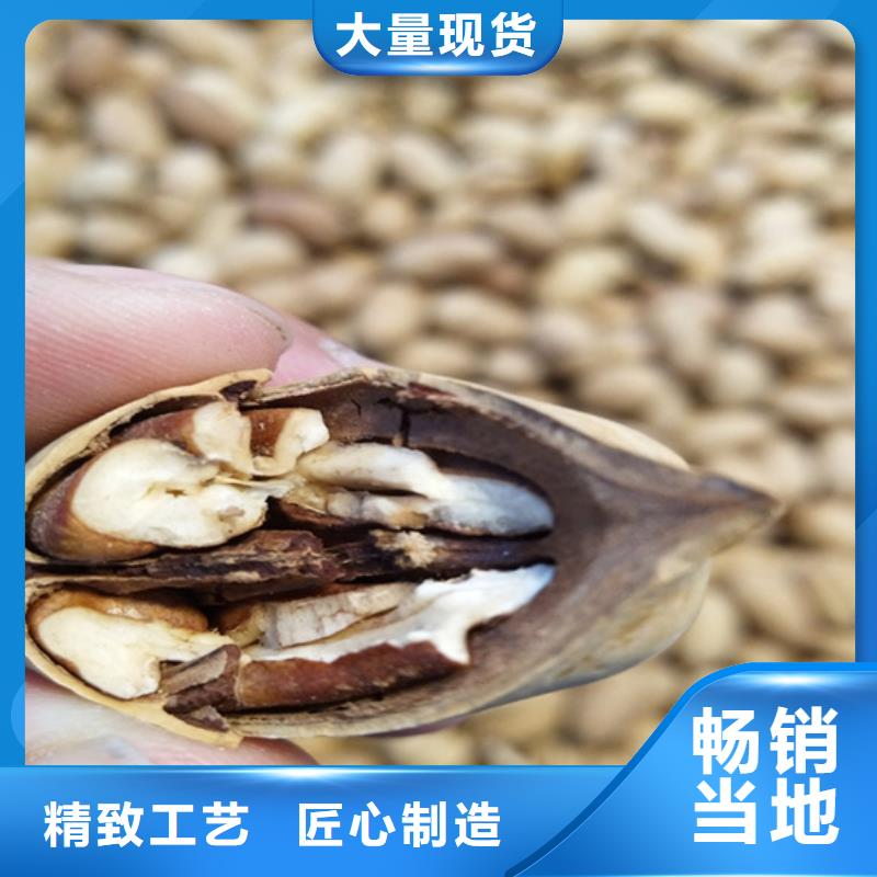 碧根果_櫻桃苗誠信經營現貨現發
