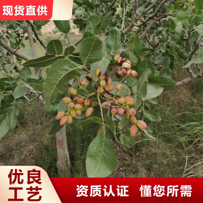 開心果,紅顏草莓好貨采購
