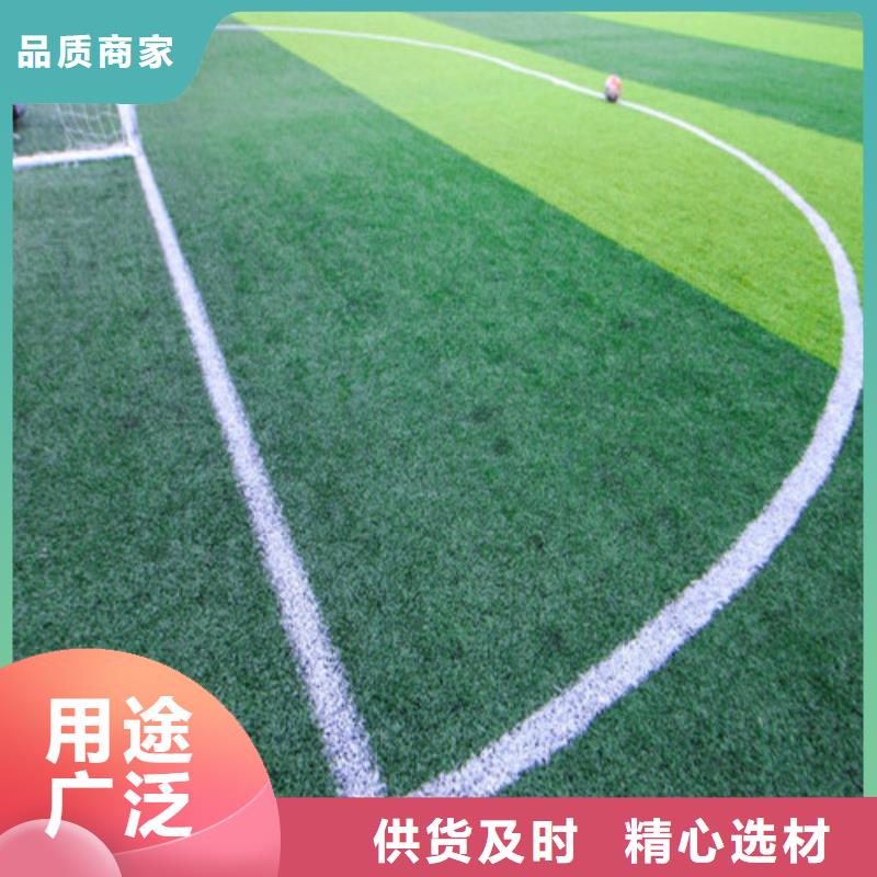 人造草坪幼兒園足球場老客戶鐘愛