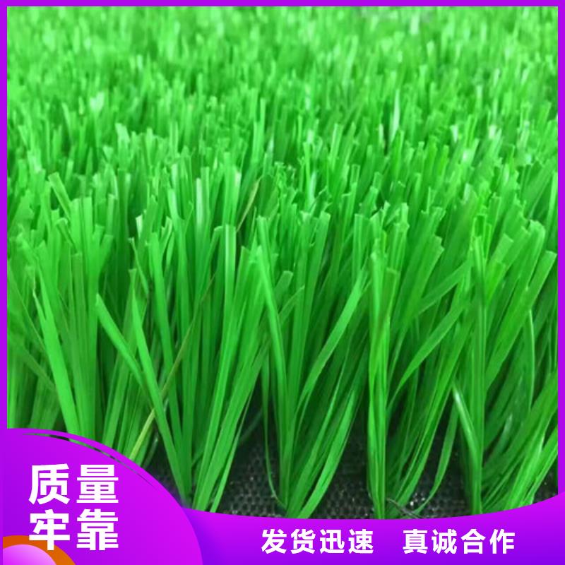 【人造草坪硅PU網(wǎng)球運(yùn)動(dòng)場(chǎng)種類豐富】
